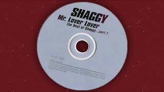 Boombastic - Shaggy (Remix, TIKTOK version)
