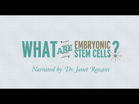 ვიდეო: რა არის ჩანასახოვანი უჯრედები?
