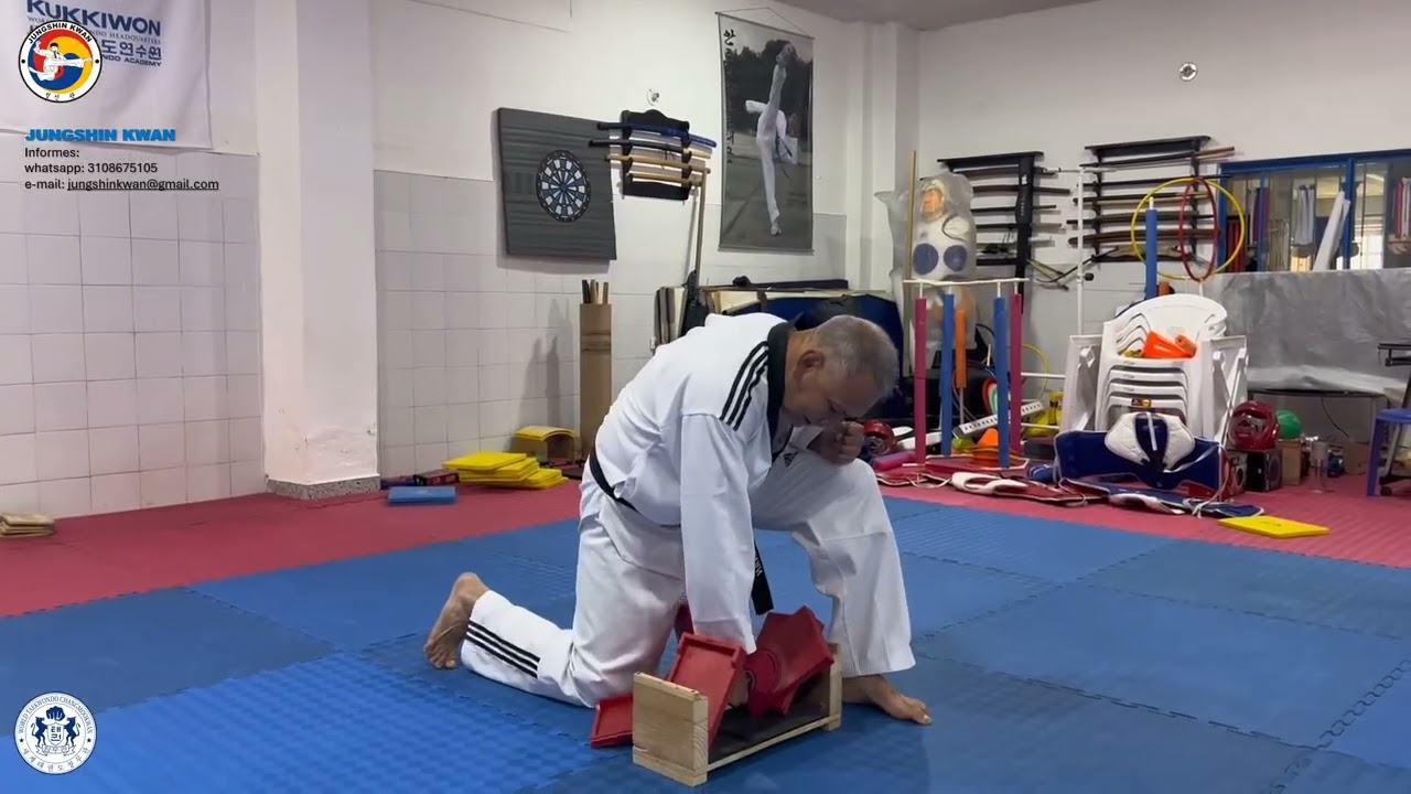 JUNGSHIN KWAN, Division Taekwondo 1