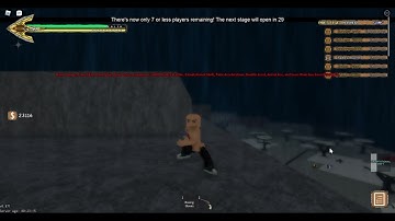 YBA really funny bug