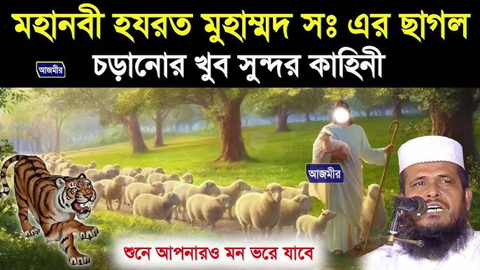 Yosh qizlar bilan chiroyli porno tomosha qiling