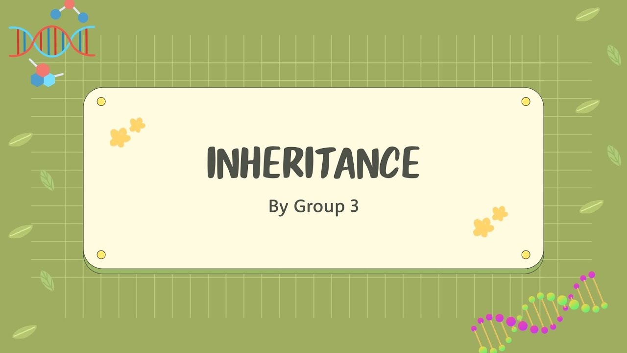 UAS PROJECT PRESENTATION ABOUT INHERITANCE GROUP 3 CLASS B - YouTube
