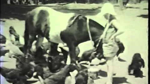 Waggoner Family Films-m.m4v