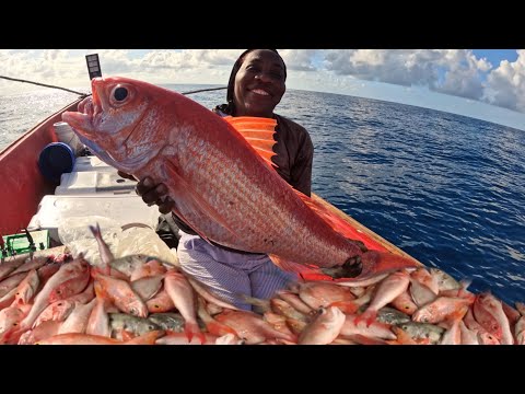 LARGEST QUEEN SNAPPERS ON RECORD CAUGHT BY A FEMALE CAPTAIN 