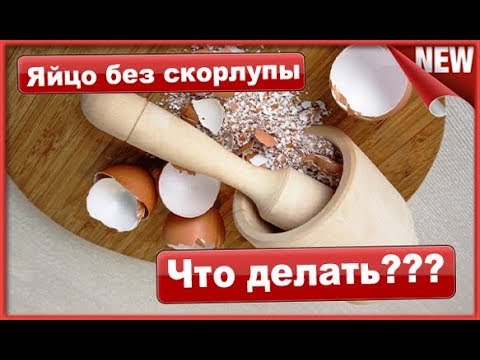 Яйца без скорлупы, Что делать??? Как измельчить и приготовить кальций из яичной скорлупы