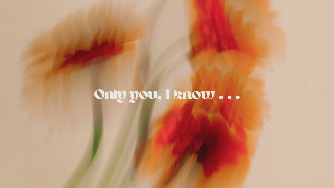 ✨ Stay in the Vibe  : No Mood Breaks, Just Pure Flow 🎶