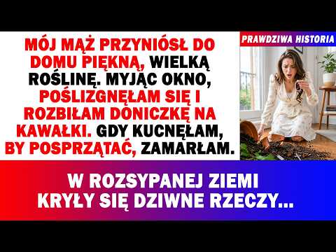 🌱Mąż Przyniósł Dużą Donicę. Myjąc Okno, Poślizgnęłam Się I Zbiłam Ją.Sprzątając, Zamarłam, Widząc..⁉
