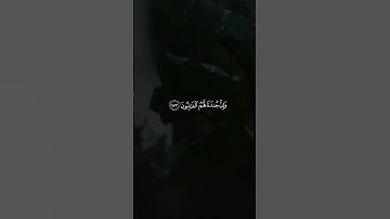 وَإِنَّ جُندَنَا لَهُمُ الْغَالِبُونَ / سورة الصافات