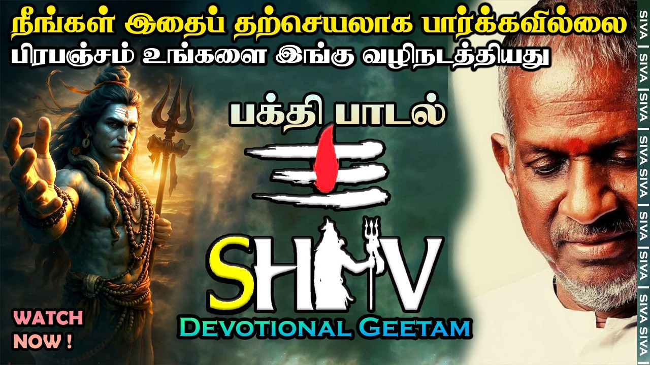 The Power of Om Namah Shivaya 🔱 | சிவபெருமானின் ஆன்மீக பாடல் | Divine Shiva Experience