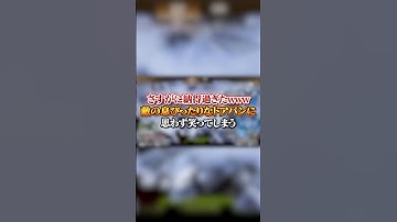 【APEX】 さすがに納得過ぎたｗｗｗ敵の息ぴったり過ぎるドアパンに思わず笑ってしまう#apex #apexlegends #fyp #おすすめ #tiktok #ゲーム #shorts