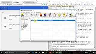 How to Download large Google Drive file with IDM (Internet Download Manager) on Google Chrome