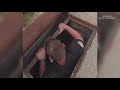 Urbandale police officer rescues baby ducks from storm drain