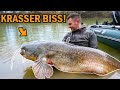 Waller Livebiss Compilation 2024