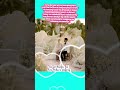 #FairytaleWedding #MermaidThemedWedding #KimMolina #JeraldNapoles #BoholWedding #DreamWedding