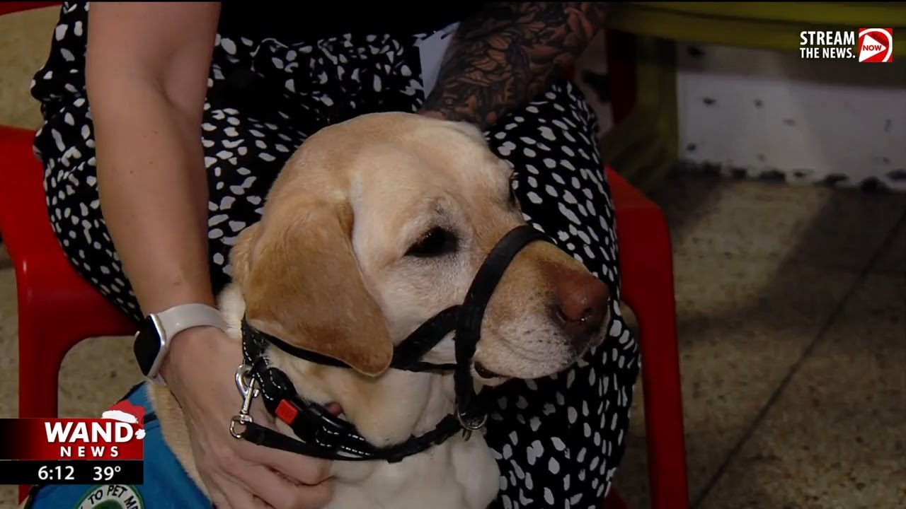 IDOC's Helping Paws Program provides healing on both sides of the leash