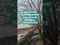 ТЕХНИКА СМЕНЫ ЭГРЕГОРОВ ДЛЯ ПРАКТИКОВ МАГИИ #личнаясила #магия #бес #раскрещивание #выходизматрицы