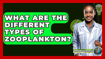What Are The Different Types Of Zooplankton? - Earth Science Answers