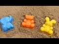Учим цвета на английском для детей Создаем зверей из песка