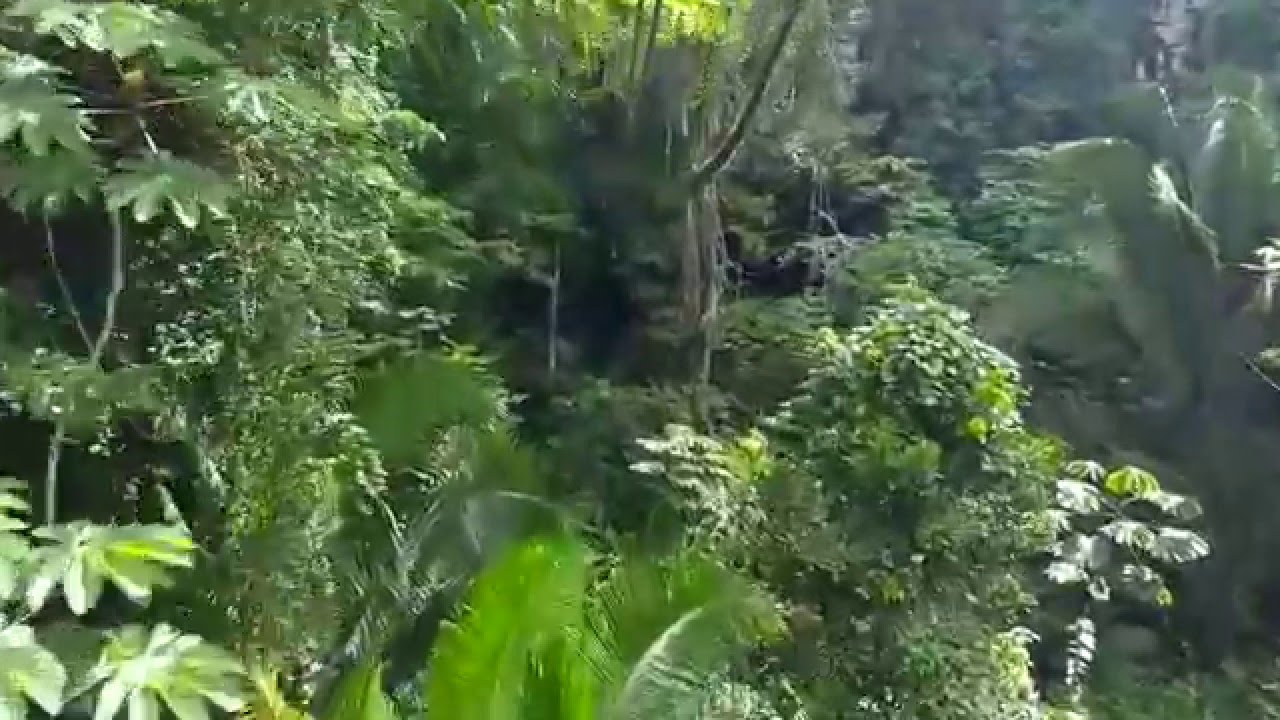 Jaguar Cave Zipline - YouTube