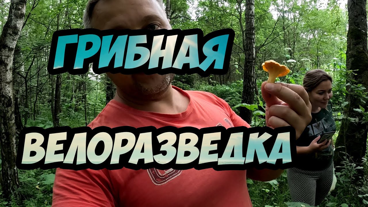 Мотоциклетная грибная охота: как совместить покатушки и тихую охоту