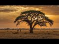 🌅 Spiritual Swahili Music Vol.17 | Healing Afro Chill BGM | Calm Swahili Vocals