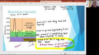 Biology 2020 Chapter 22 Respiratory System:  Respiratory Volumes (Video 8)