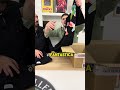 Unboxing bestseller Milano buy/sell/trade in Milan