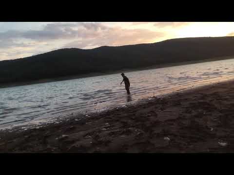 დიდი თევზი (კობრი,ამური)