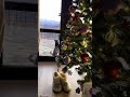 БУСЕНЬКА❄️🎄🎅