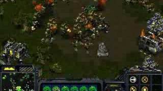 The African Atom Bomb on StarCraft Diplomacy Gold 7.7