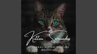 Melodic Whisker Harmony