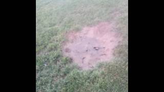 Epic fail puddle jump