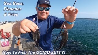 Sea Bass, Flounder & Fries  How to FISH the OCMD JETTY!