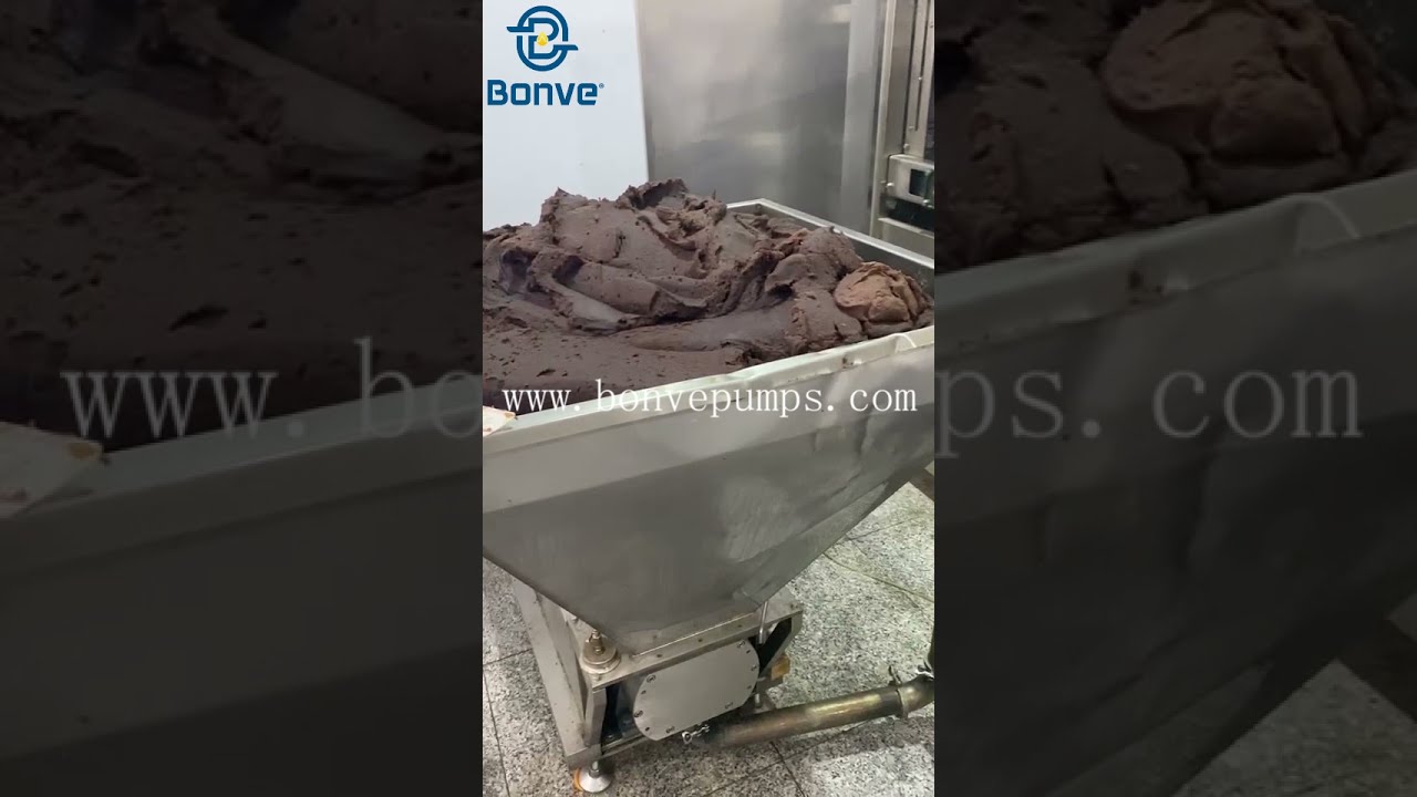 Bonve Rotary Lobe Pump, High Viscosity Liquid Red Bean Paste, Meat Slurry Transfer Pump