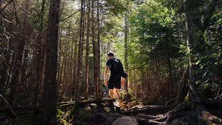Early Spring Hike in Vermont - Stowe Pinnacle Trail