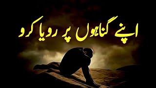 Tumhare Gunaho Par Kon Royega? | Beautiful Spiritual Quotes | Listen the Islam Q.K