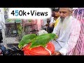 Birds Market Lalukhet Karachi Oct-14-2018 Price Updates