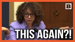 Hearing Goes Off The Rails After Democrat Says Republicans Want To Deport All Foreigners