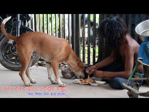 ভিডিও: তহবিল সংগ্রহকারী মহিলাকে হারিকেন ফ্লোরেন্সের আগে তার 7 টি উদ্ধার কুকুরের সাথে সরিয়ে নিতে সহায়তা করে