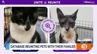 Database reuniting pets with their families