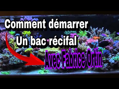 Installer un bac berlinois Aquarium récifal / aquarium marin