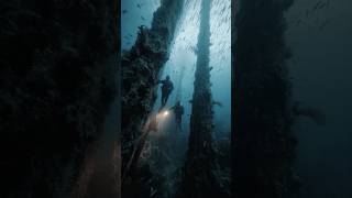 Underwater Camera Records Upright Beams at Extreme Depth