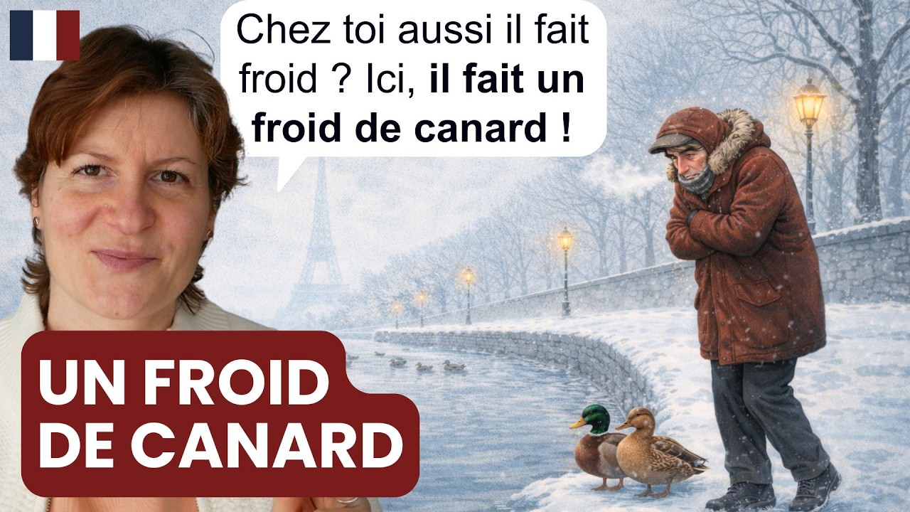 Expression française : il fait un froid de canard - comprendre et utiliser