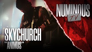 SKYCHURCH | Animus