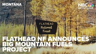 Flathead National Forest announces Big Mountain fuels project