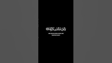 والأرض وضعها للأنام || سورة الرحمن || القارئ عبد الباسط عبد الصمد #كرومات_قرآن #quran