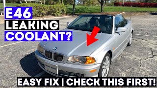 E46 Coolant Leak? | Check This First! Wealth
