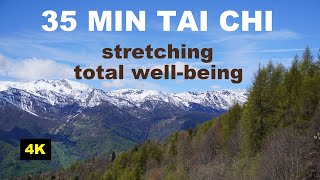 35 MIN TAI CHI STRETCHING for BODY and MIND WELL-BEING