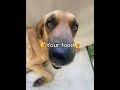 I want food