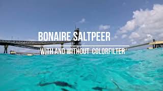 Colorfilter Gopro Backscatter Flip 13